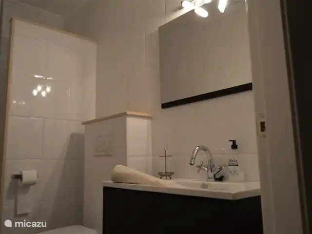 Seperate badkamer met douche
